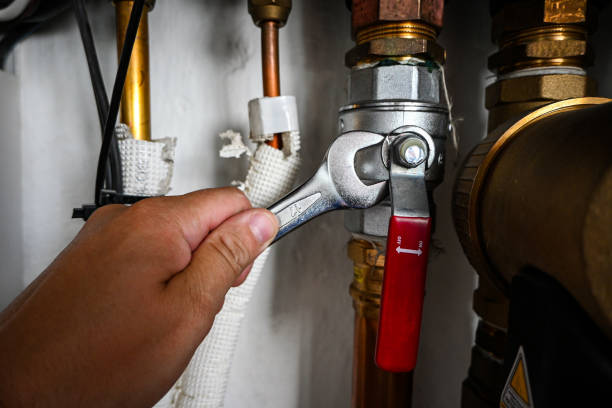 Best Plumbing Services Near Me  in Pine Ridge, FL